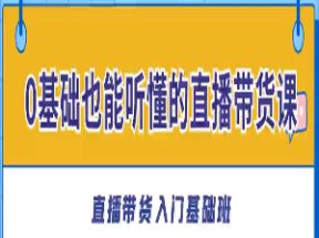 <strong>零基础</strong>也能听懂的直播带货课网盘下载