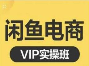 闲鱼电商零基础入门到进阶VIP实战课程网盘下载