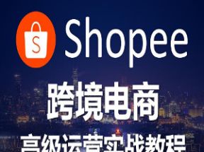 东南亚跨境电商Shopee实战运营课程网盘下载