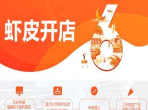 跨境电商Shopee(虾皮）基础运营实操课网盘下载