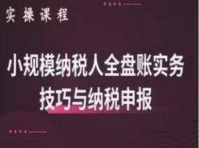 小规模纳税人全盘真帐实操账务处理及纳税申报网盘下载