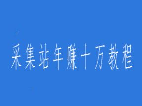 2025采集站年赚十万教程网盘下载