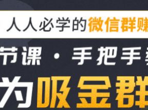 16节课手把手教你成为吸金群主网盘下载