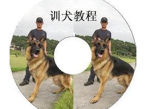 训狗教程：快乐训犬跟我学(2CD打包下载)网盘下载