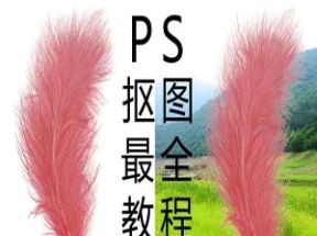 Photoshop零基础抠图秘技网盘下载