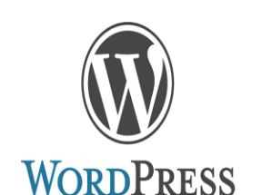 WordPress从零开始外贸建站网盘下载