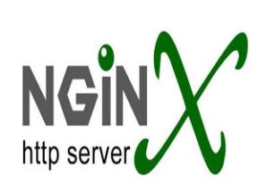 Nginx开发从入门到精通视频教程全套视频网盘下载