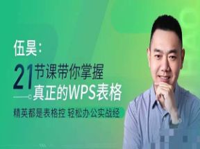 WPS表格教程21节课带你掌握WPS表格网盘下载