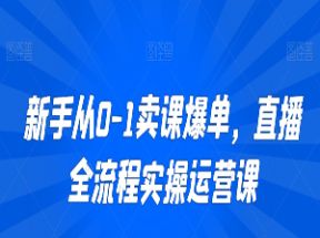 新手从0-1卖课爆单，直播全流程实操运营课网盘下载