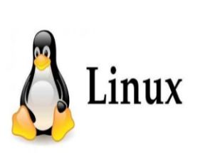 Linux性能优化教程mp3音频网盘下载