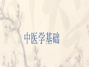 中医学基础65节X3学习网盘下载