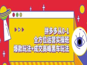 拼多多从0-1全方位运营实操班网盘下载