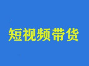 短视频带货从零基础到精通网盘下载