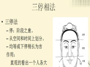 相术入门0基础手相面相自学视频网盘下载