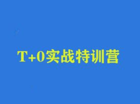 股票T+0实战特训营网盘下载