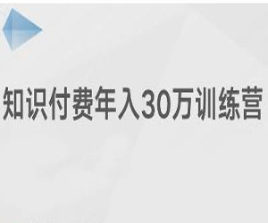 知识付费年入30万训练营网盘下载