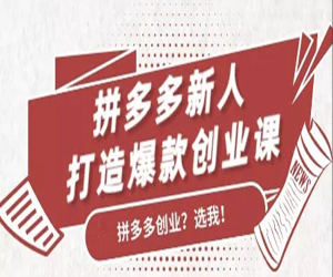 拼多多新人打造爆款创业课网盘下载