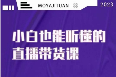 小白也能听懂的直播带货课网盘下载