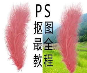 Photoshop<strong>零基础</strong>抠图秘技网盘下载