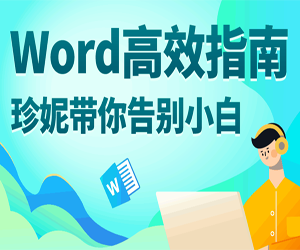 Word高效指南52集高清视频网盘下载