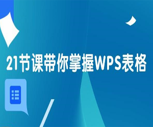 21天WPS表格训练营	网盘下载