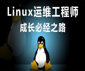 Linux运维工程师入门教程网盘下载