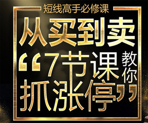 从买到卖，7节课教你抓强势股网盘下载