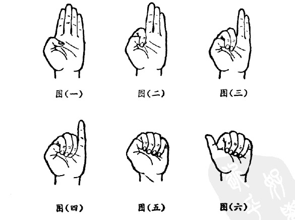 手指表示1-10